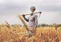 pradhan mantri fasal bima yojana to continue until 2025-26